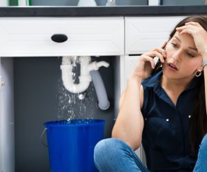 About Emergency plumbing pros Twining, MI
